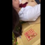 Thumbnail of post image 095